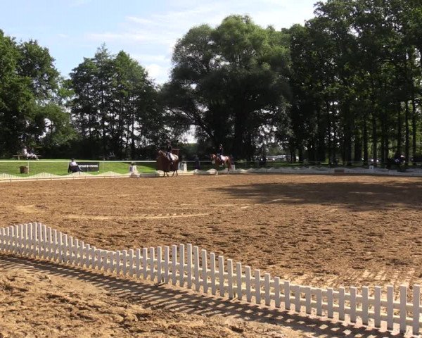 Reitturnier Zobbenitz 2023