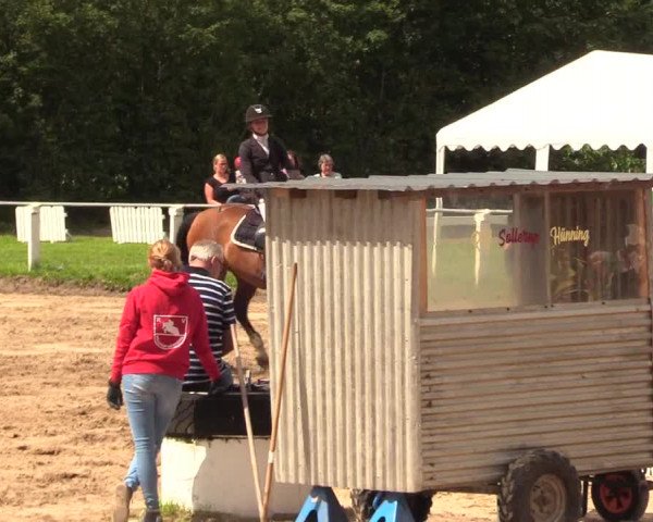 Reitturnier Sollerup 2023