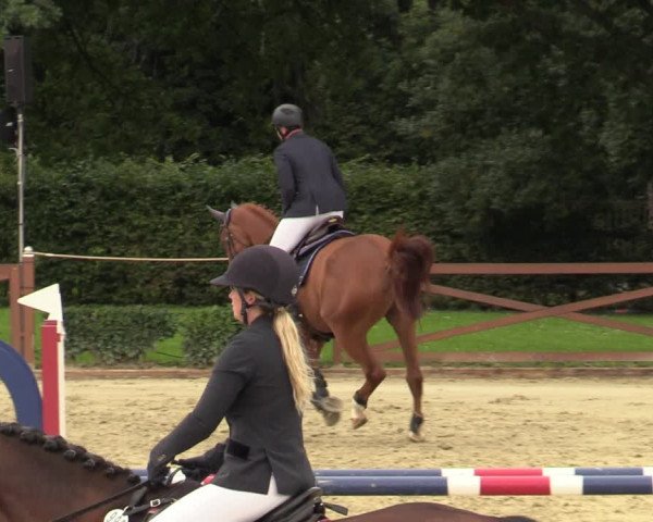 Equus Colonius - Reitanlage Brüse Köln 2021