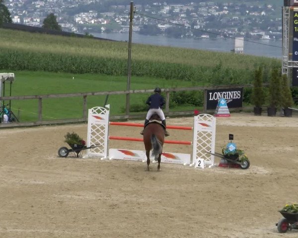 Reitturnier Wädenswil 2023