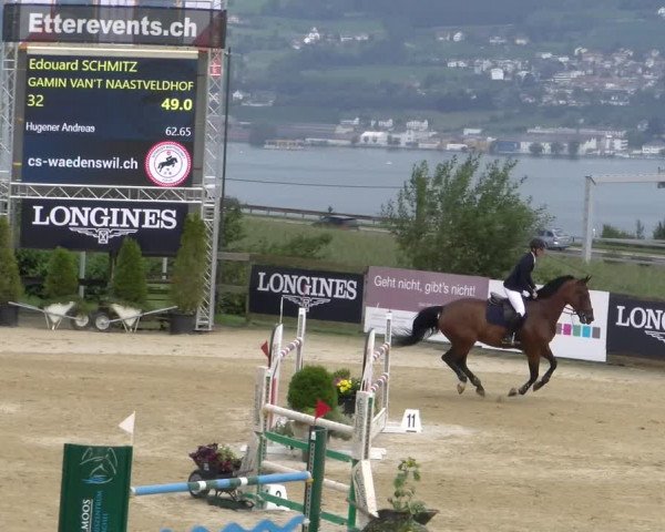 Reitturnier Wädenswil 2023