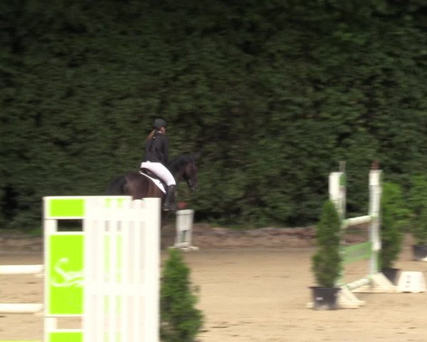 Reitturnier Arnsberg-Holzen 2023