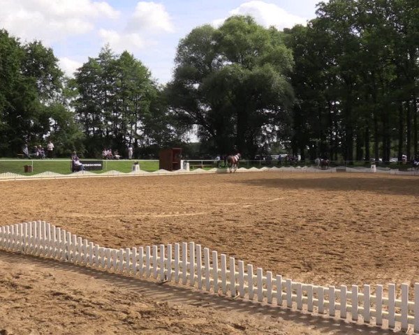 Reitturnier Zobbenitz 2023