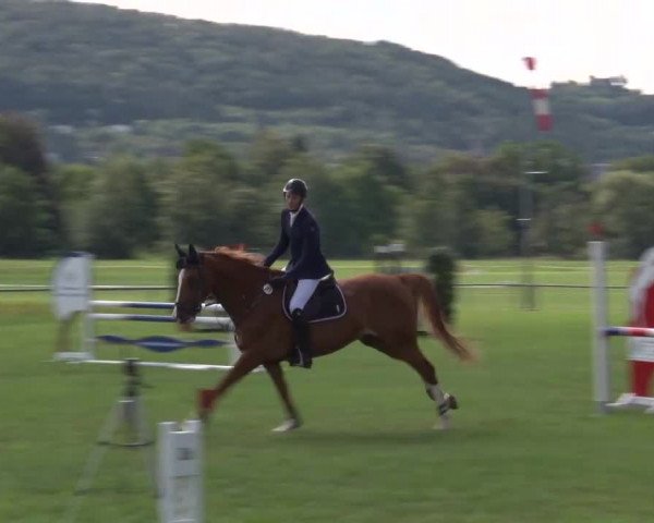 Reitturnier Bad Kissingen 2023