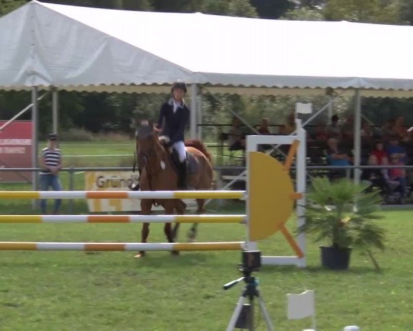 Reitturnier Bad Kissingen 2023