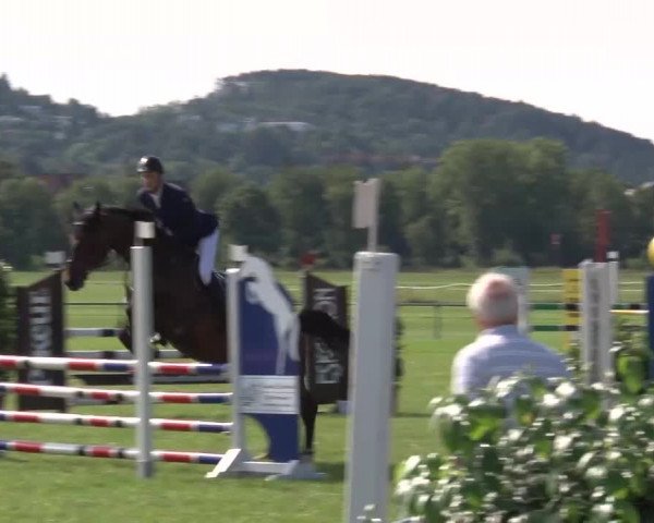 Reitturnier Bad Kissingen 2023