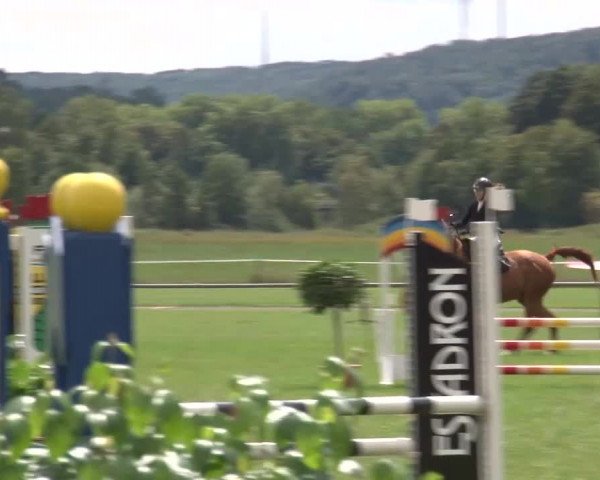 Reitturnier Bad Kissingen 2023