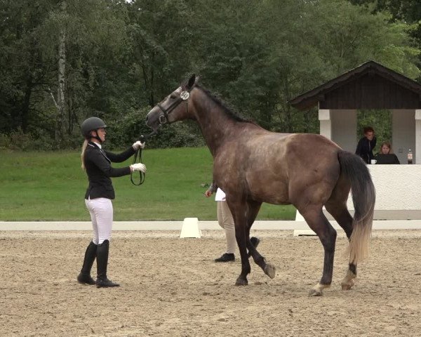 Reitturnier Niederzeuzheim 2023