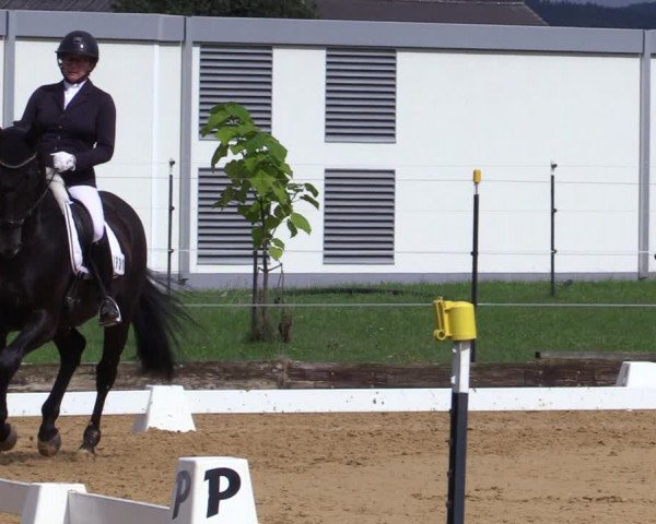 Reitturnier Ranshofen - Braunau am Inn 2023
