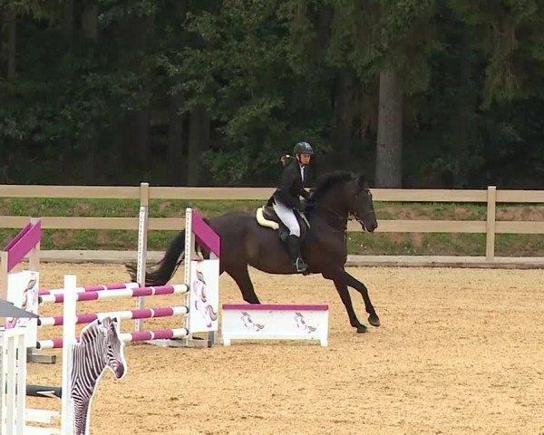 Reitturnier Tiefenhof 2023