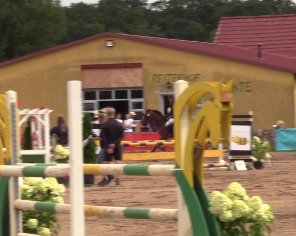 Reitturnier Altlandsberg 2023