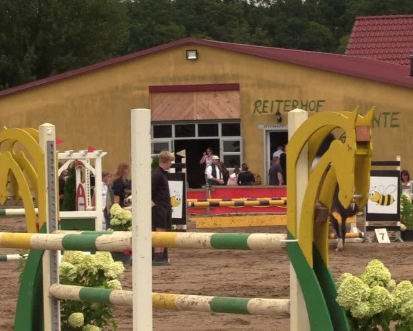 Reitturnier Altlandsberg 2023