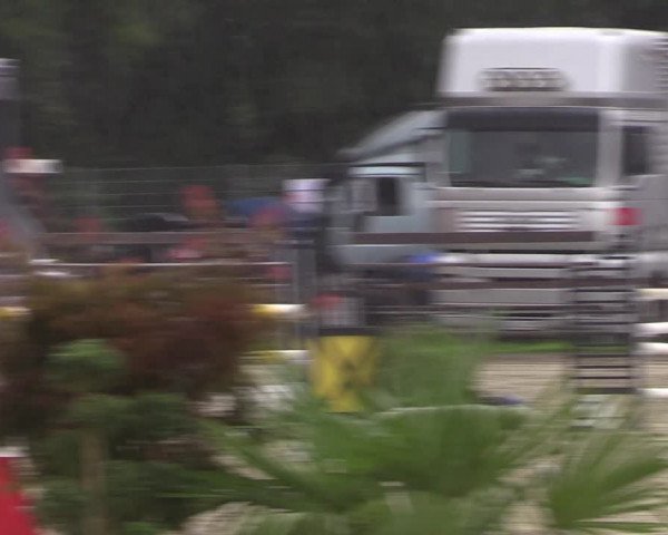 Reitturnier Nettetal-Lobberich 2023