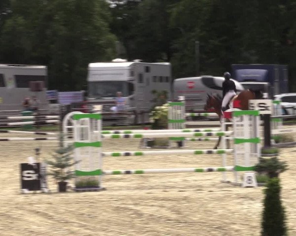 Reitturnier Nettetal-Lobberich 2023