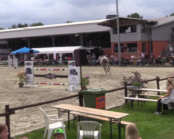 Reitturnier Nettetal-Lobberich 2023