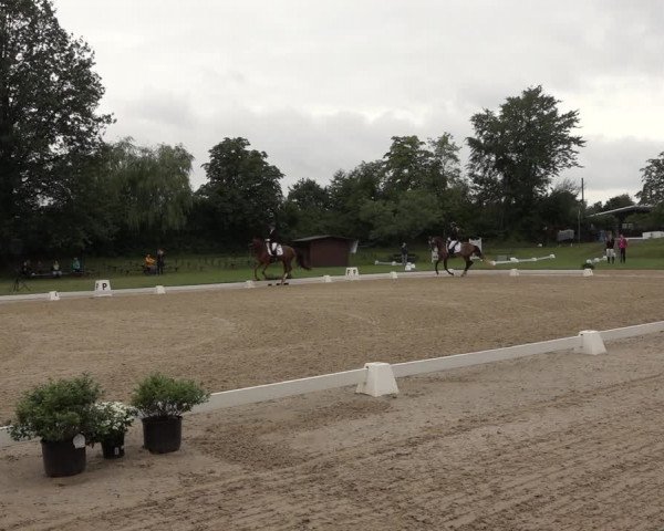 Reitturnier Niederzeuzheim 2023