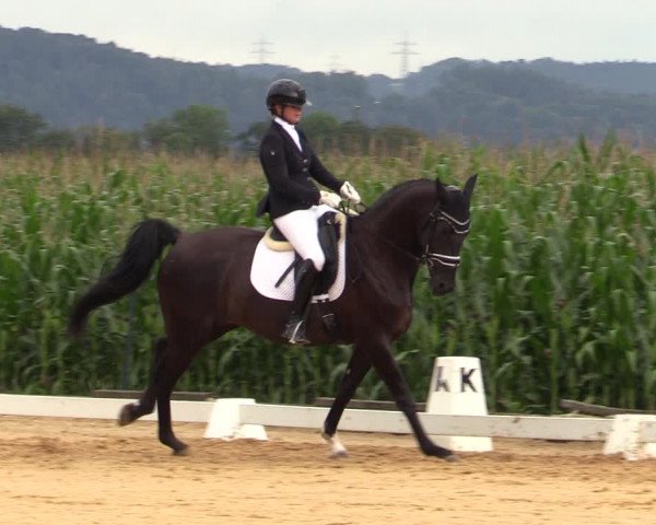 Reitturnier Ranshofen - Braunau am Inn 2023