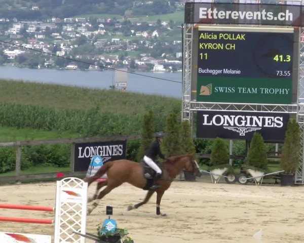 Reitturnier Wädenswil 2023