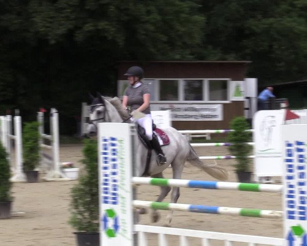 Reitturnier Arnsberg-Holzen 2023