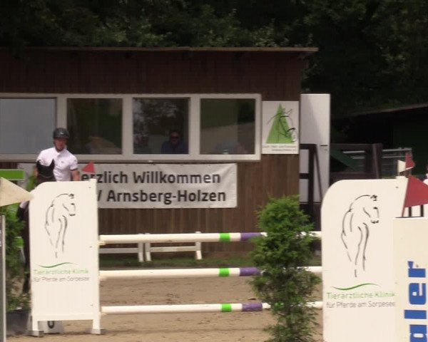 Reitturnier Arnsberg-Holzen 2023