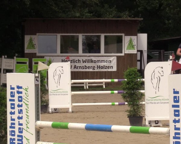 Reitturnier Arnsberg-Holzen 2023