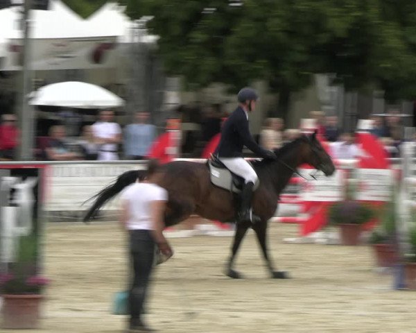 Reitturnier Olfen-Vinnum 2023
