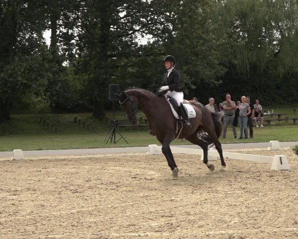 Reitturnier Niederzeuzheim 2023