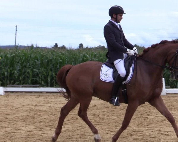 Reitturnier Ranshofen - Braunau am Inn 2023