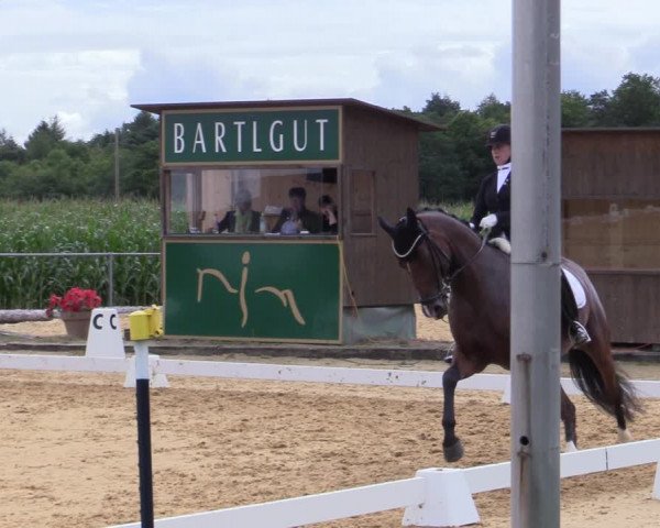 Reitturnier Ranshofen - Braunau am Inn 2023
