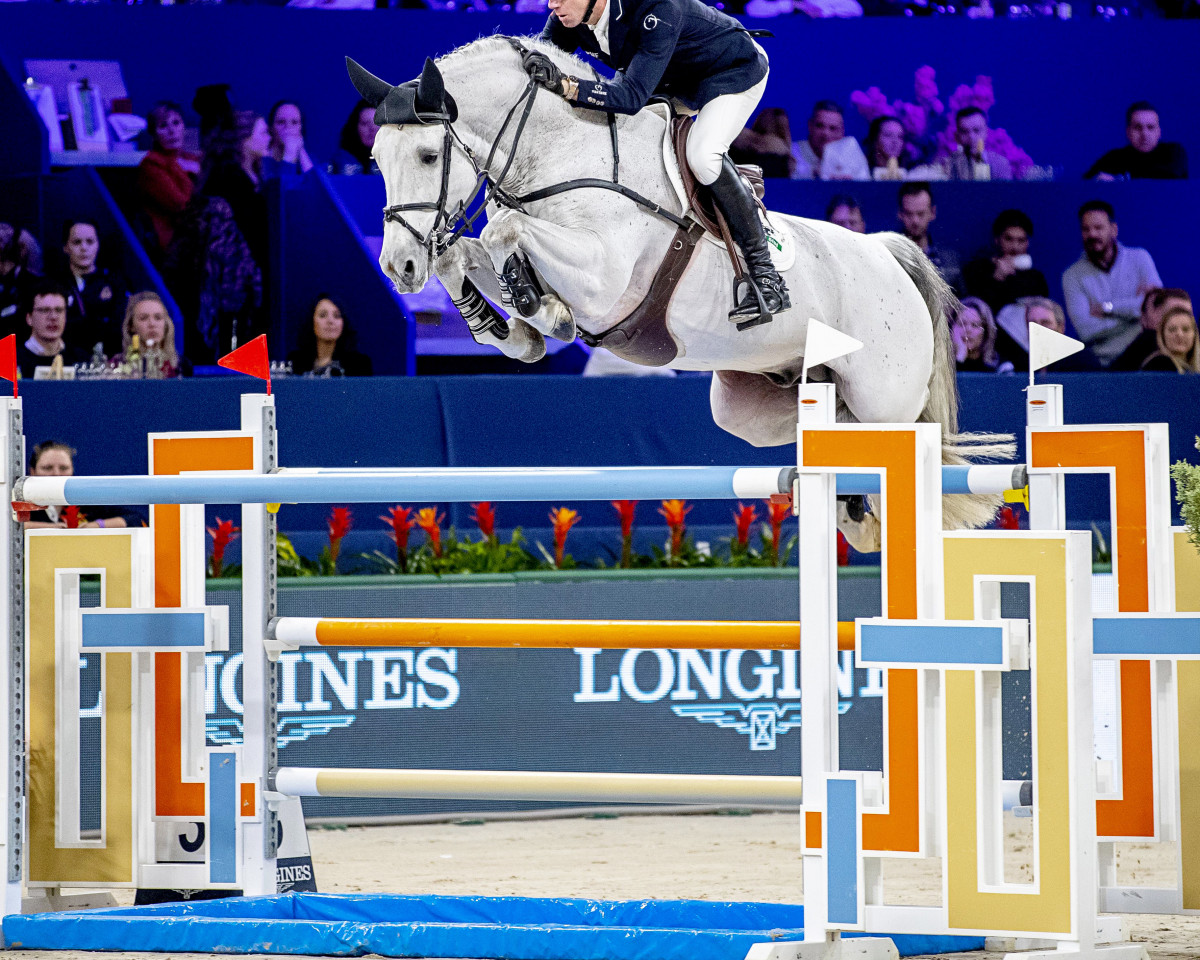 Deckhengst Dallas VDL Z (Belgisches Warmblut, 2008, von Douglas)