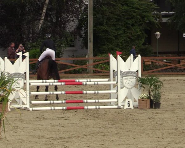 Equus Colonius - Reitanlage Brüse Köln 2021