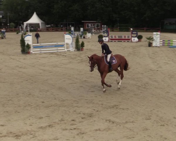 Equus Colonius - Reitanlage Brüse Köln 2021