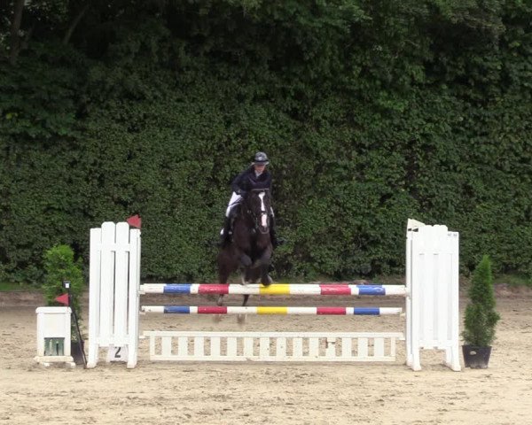Reitturnier Arnsberg-Holzen 2023