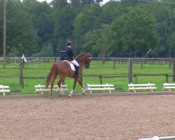 Reitturnier Nettetal-Lobberich 2023