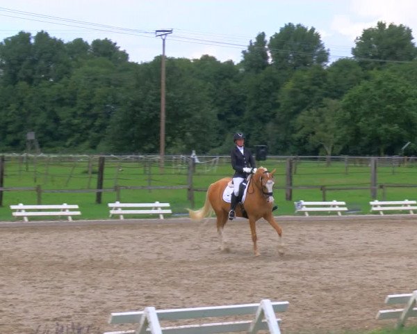 Reitturnier Nettetal-Lobberich 2023