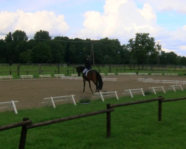 Reitturnier Nettetal-Lobberich 2023
