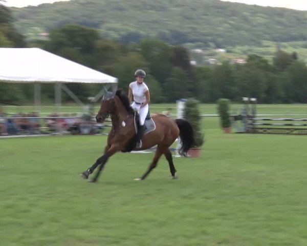 Reitturnier Bad Kissingen 2023