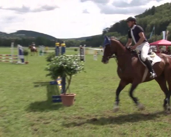 Reitturnier Bad Kissingen 2023
