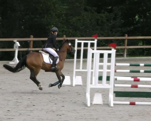 Reitturnier Alvern 2023