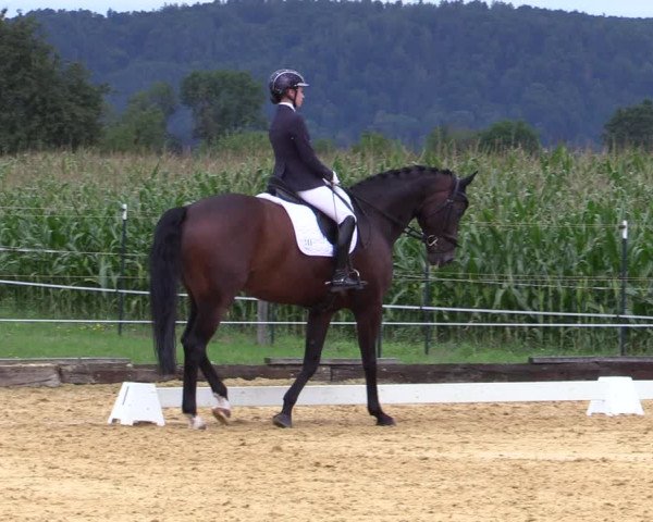 Reitturnier Ranshofen - Braunau am Inn 2023