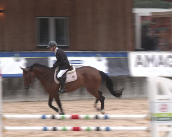 Reitturnier Ranshofen - Braunau am Inn 2023