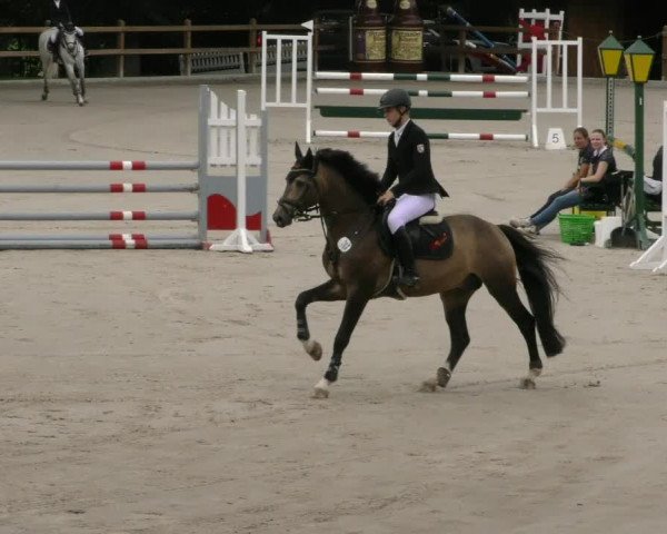 Reitturnier Alvern 2023