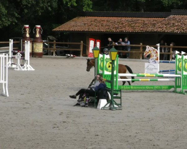 Reitturnier Alvern 2023