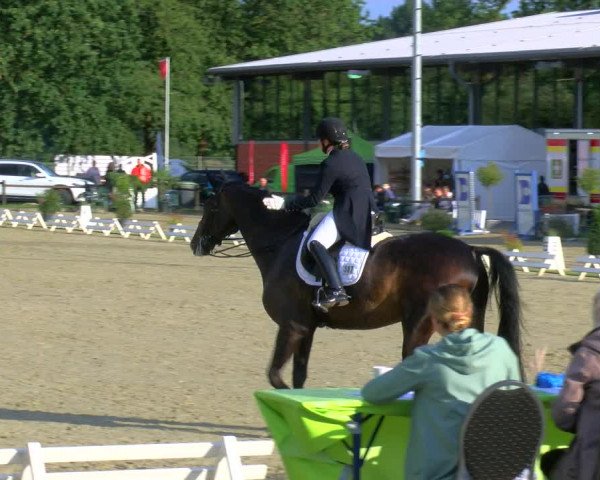 Reitturnier Nettetal-Lobberich 2023
