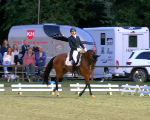Reitturnier Nettetal-Lobberich 2023