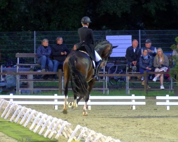 Reitturnier Nettetal-Lobberich 2023