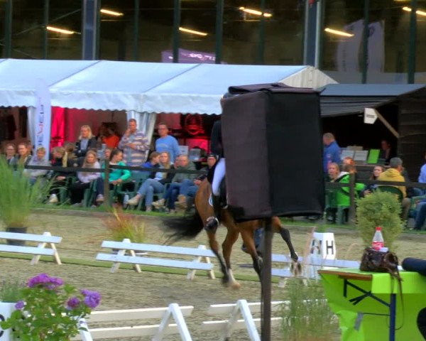 Reitturnier Nettetal-Lobberich 2023