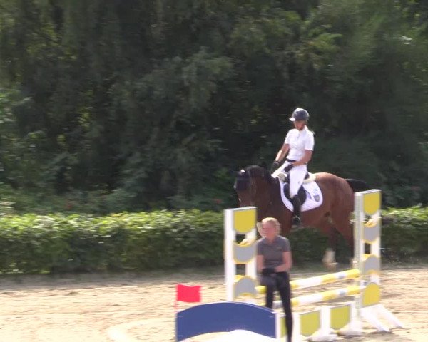 Spring Late Entry Gut Hohenkamp / Dorsten 2021