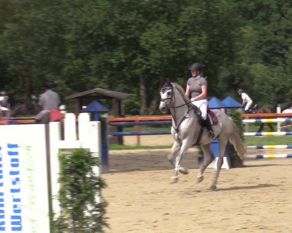 Reitturnier Arnsberg-Holzen 2023