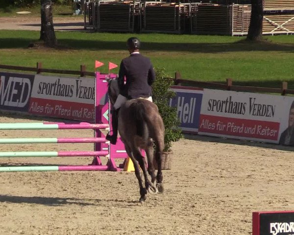 Reitturnier Westergellersen 2021